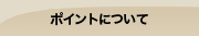 ポイントについて