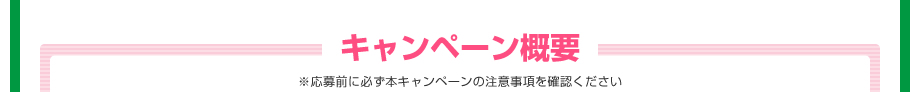 キャンペーン概要