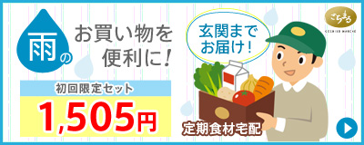 雨のお買いものを便利に！　初回限定セット1,505円　玄関までお届け！　定期食材宅配