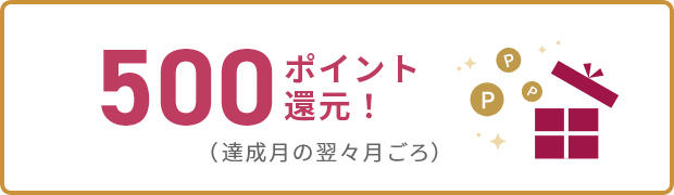 500ポイント還元！（達成月の翌々月ごろ）