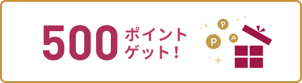 500ポイントゲット!
