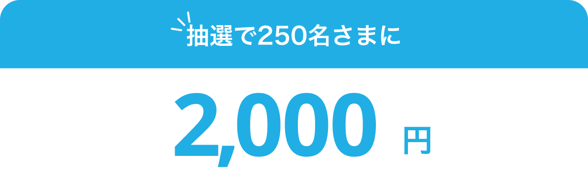 抽選で250名さまに2,000円