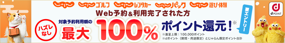 じゃらん×dポイント