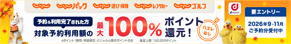 じゃらん×docomo通年施策