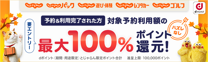 じゃらん×docomo通年施策
